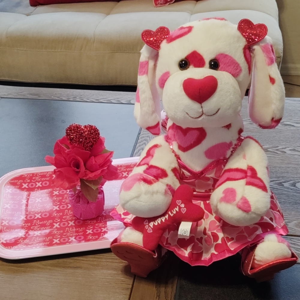 Girls Build a Bear Valentine's Heart Dog